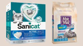 Kedileri için en iyi kumu seçmek isteyenlere 2023 en iyi kedi kumu çeşitleri