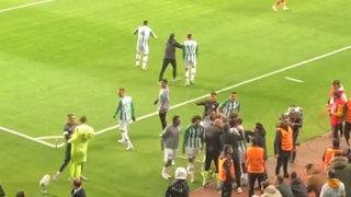 Galatasaray'da Muslera'dan olay yaratan hareket! Konyaspor'un golü sonrası Sehic'in üzerine yürüdü...