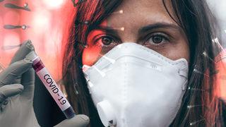 Koronavirüsün kaynağına dair çarpıcı rapor! Virüsün kaynağı rakun köpekleri mi?