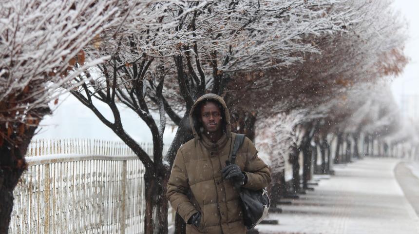 Doğu Anadolu'da kar yağışı etkili oluyor