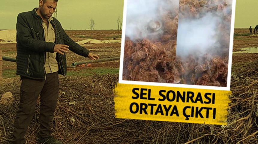 Şanlıurfa'da sel sonrası ortaya çıkan görüntü korkuttu! Jandarma inceleme yaptı