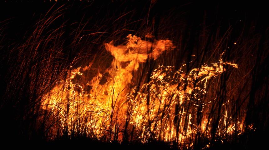 Mersin'deki Göksu Deltası'nda yangın