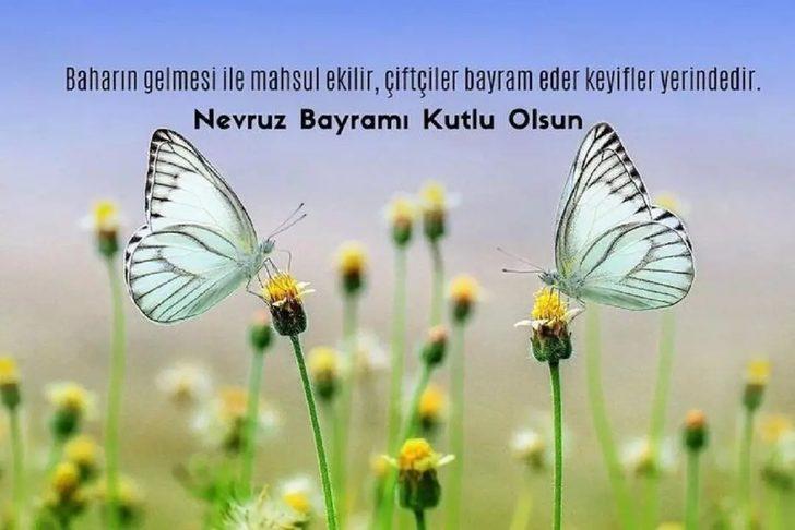 RESİMLİ NEVRUZ MESAJI BURADA! 21 Mart 2023 en etkileyici, uzun, kısa ve öz, baharı müjdeleyen resimli nevruz mesajları İNDİR! G4