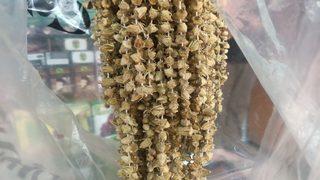 Binbir zahmetle kurutuluyor! Fiyatı gram altınla yarışıyor: 1000 TL'ye...