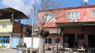 Görenler şaşkına döndü! 'İlginç bir manzara' Nadir görülüyor korumaya çalışıyorlar