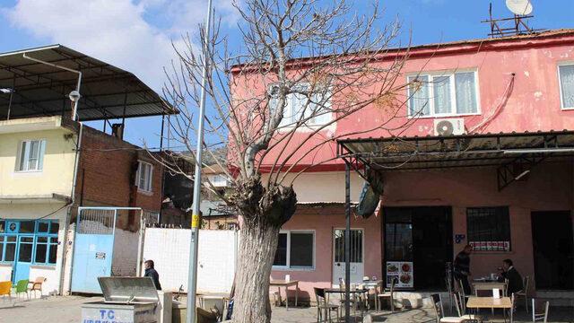 Görenler şaşkına döndü! 'İlginç bir manzara' Nadir görülüyor korumaya çalışıyorlar