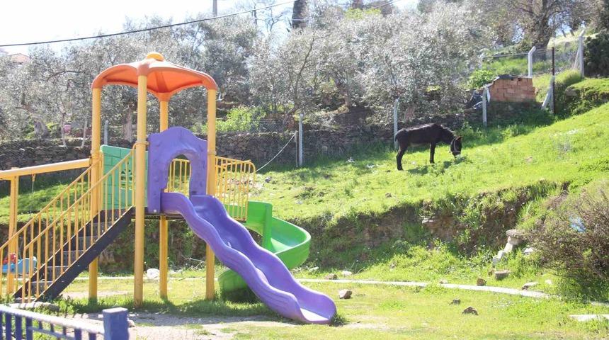 Çocukların yokluğunda parklar eşeklere kaldı