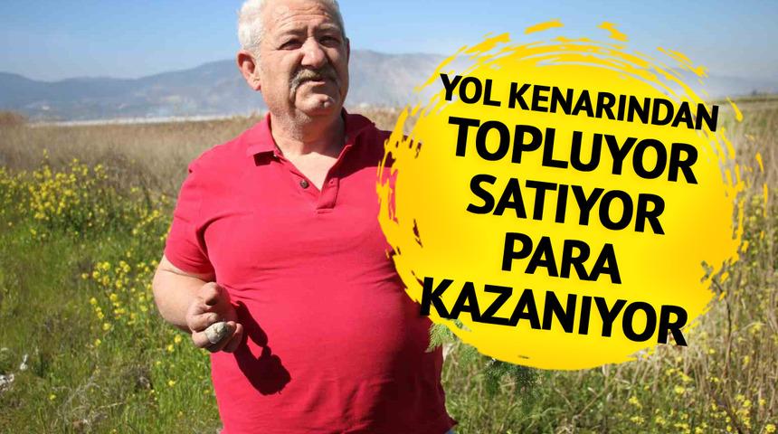 Yol kenarından toplayıp 10 TL'den satıyor! Zevk için yapıyordu ticari boyutu olduğunu gördü 'Günlük ortalama 60-70...' 