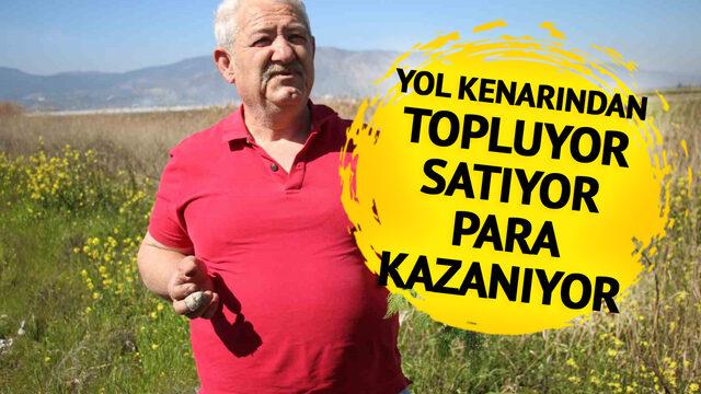 Yol kenarından toplayıp 10 TL'den satıyor! Zevk için yapıyordu ticari boyutu olduğunu gördü 'Günlük ortalama 60-70...' 