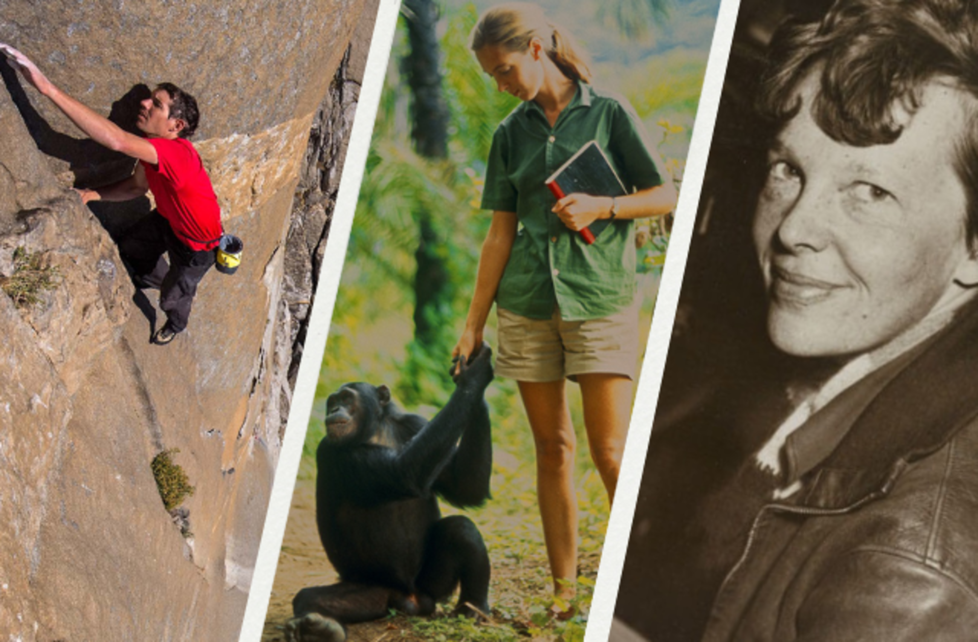 Size dünyanın eşsiz bir yer olduğunu bir kez daha kanıtlayacak en iyi belgeseller 