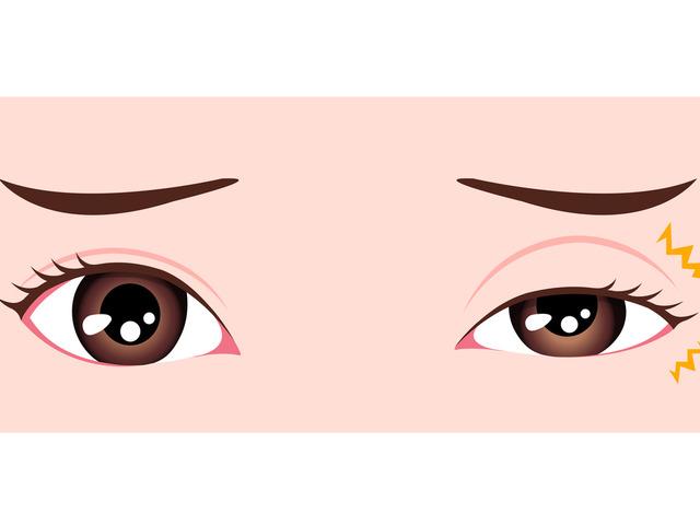 Marifetname'den seğirmeler ve anlamları nedir? Seğirmeler ve neticeleri nelerdir, neyi işaret eder?