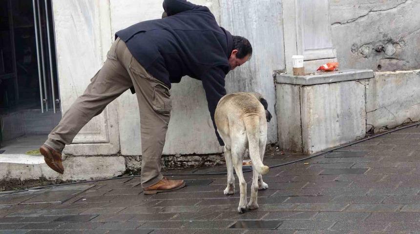 Sokak köpekleri İstiklal Caddesi’ndeki bir lokantanın müdavimi oldu