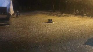 Şanlıurfa'da sağanak yağış ve dolu vatandaşlara zor anlar yaşattı