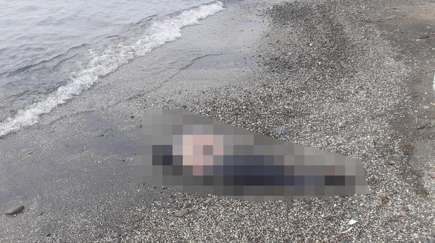 Geçen sene de olmuştu... Görenler şaşkınlığını gizleyemedi! Hemen ekiplere haber verildi