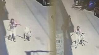 'Oyun yapıyor' demişti! Çocuğa saldıran tasmasız köpeğin sahibi hakkında istenen ceza belli oldu