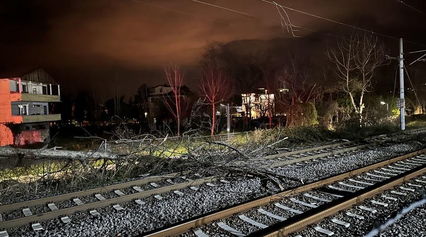 Sakarya'da şiddetli rüzgar nedeniyle demir yoluna devrilen ağaç ulaşımı aksattı