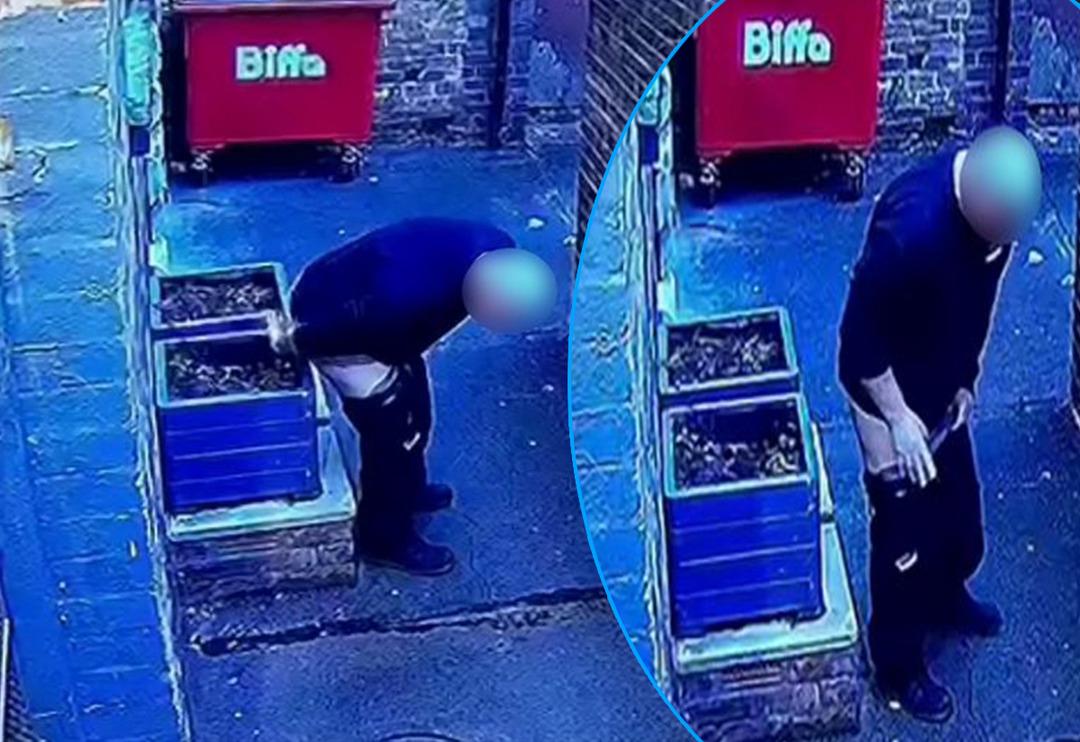 Bir g&ouml;ren bir daha baktı! Saksıları g&ouml;r&uuml;nce kendisine engel olamadı... Sokak ortasında tuvaletini yaptı