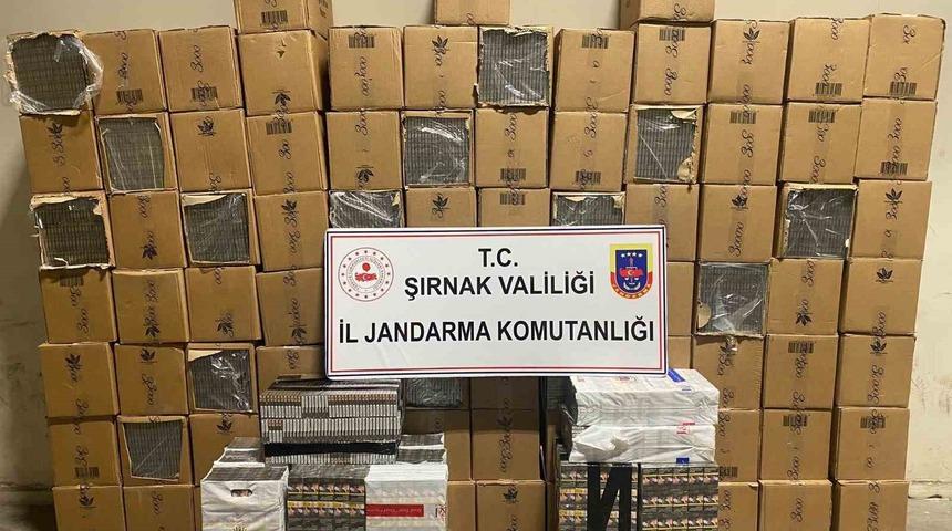 Şırnak’ta 48 bin 900 paket gümrük kaçağı sigara ele geçirildi
