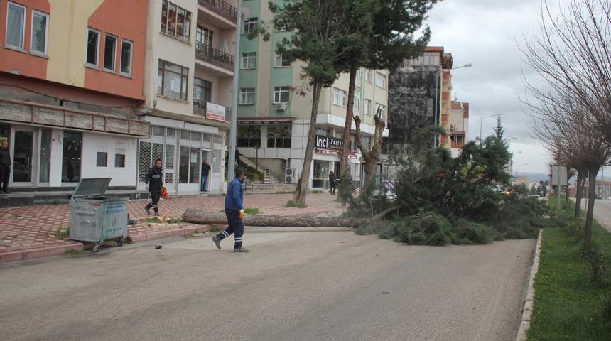 Kuvvetli fırtına o illeri vurdu... Ortalık savaş alanına döndü: Çatılar uçtu, ağaçlar devrildi!