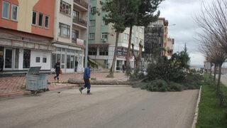 Kuvvetli fırtına o illeri vurdu... Ortalık savaş alanına döndü: Çatılar uçtu, ağaçlar devrildi!