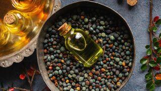 Menengiç yağı faydaları nelerdir, ne işe yarar? Menengiç yağı saça ve cilde iyi gelir mi, nasıl kullanılır?