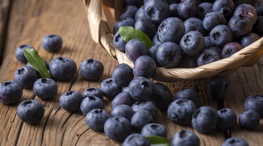 Yaban mersini faydaları nedir, zararı ve yan etkisi var mı? Yaban mersini nelere iyi gelir, nasıl kullanılır?