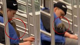 Trende uykuya dalan adamın üzerinde gezinen dev fareyi görenler iğrenerek izledi! Hiçbir tepki vermeden üzerinden attı