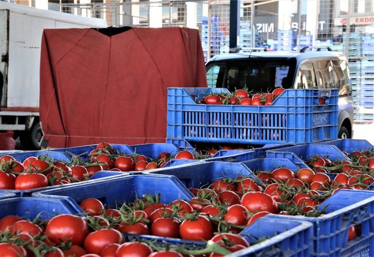 Domates, salata, biber... Antalya Hali'nde bahar hareketliliği! Fiyatlar yüzde 50 düştü