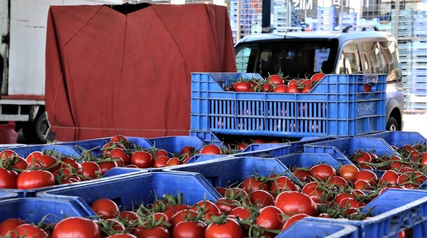 Domates, salata, biber... Antalya Hali'nde bahar hareketliliği! Fiyatlar yüzde 50 düştü