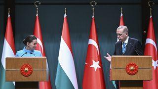 Son dakika: Cumhurbaşkanı Erdoğan ve Macaristan Cumhurbaşkanı Novak'tan açıklamalar! TANAP'tan doğal gaz desteği vermeye hazırız