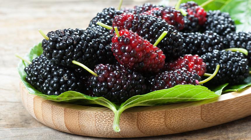 Karadut faydaları nelerdir, karadut özü ne zaman içilmeli? Karadut neye iyi gelir, hangi vitaminler var?