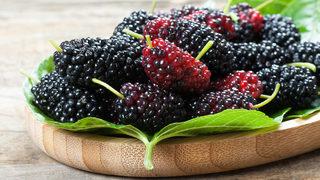 Karadut faydaları nelerdir, karadut özü ne zaman içilmeli? Karadut neye iyi gelir, hangi vitaminler var?