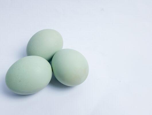 Mavi yumurta ne işe yarar?