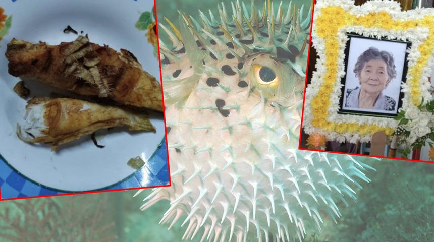 Hayatlarında ilk kez kirpi balığı yediler! 83 yaşındaki kadın hayatını kaybetti, 84 yaşındaki kocası yoğun bakımda