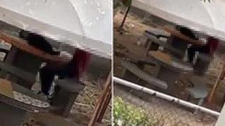 Yine cinsel ilişki skandalı! Üniversite kampüsünün ortasında kimseye aldırış etmeden cinsel ilişkiye girdiler