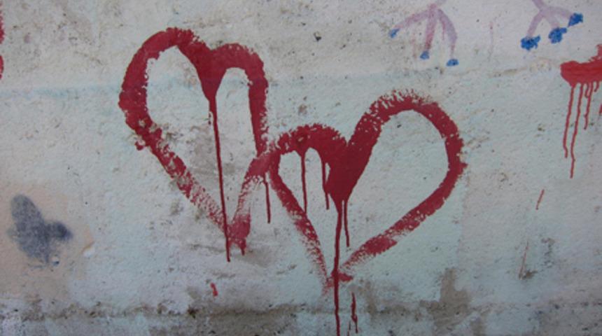 Down Sendromlu Gen&ccedil;lerin Objektifinden D&uuml;nya