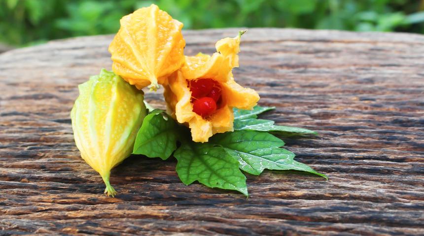 Kudret narı faydaları nelerdir, neye iyi gelir?  Kudret narı nasıl yenir, ne işe yarar?