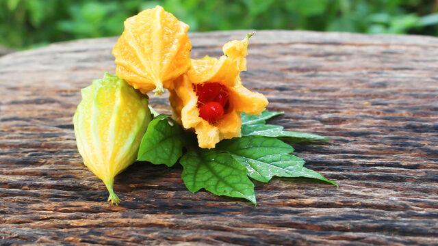 Kudret narı faydaları nelerdir, neye iyi gelir?  Kudret narı nasıl yenir, ne işe yarar?