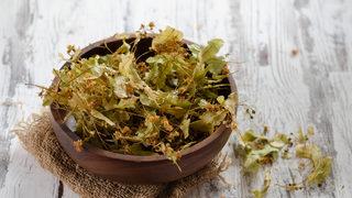 Ihlamurun faydaları nelerdir, zararı var mı? Ihlamur nasıl demlenir, nasıl yapılır?