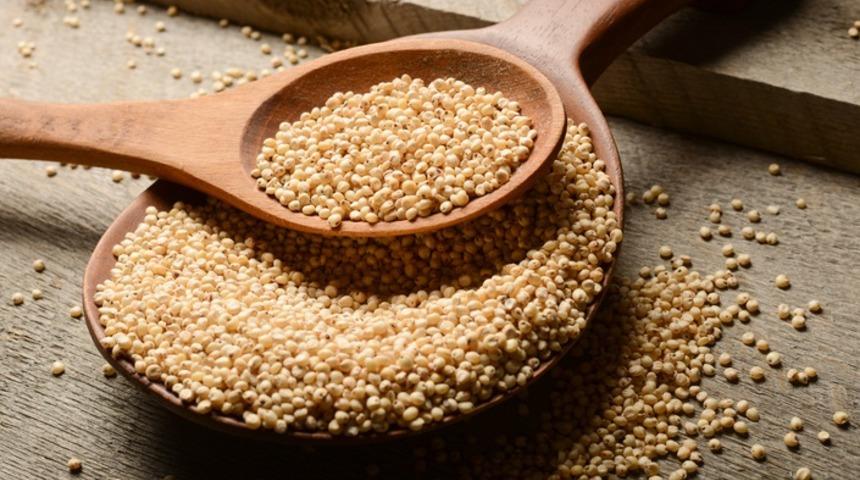 Dünyanın açlık ile savaşmada en önemli silahı mucize bitki: SORGUM!