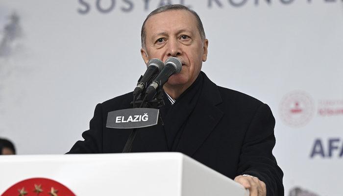 Erdoğan'dan Akşener'e tepki! 'Biz de rezene tavsiye ederiz'