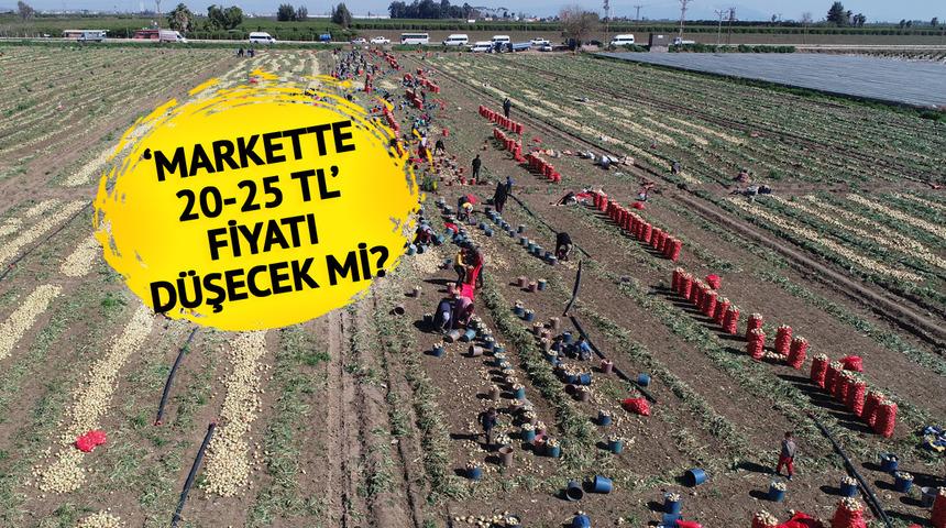 'Markette 20-25 TL' Herkes fiyatını konuşuyordu! Düşmeye başlayacak... Bu yıl iki kat ekildi 