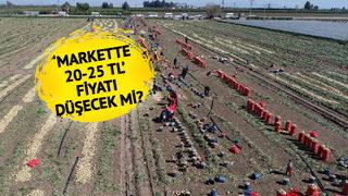 'Markette 20-25 TL' Herkes fiyatını konuşuyordu! Düşmeye başlayacak... Bu yıl iki kat ekildi 