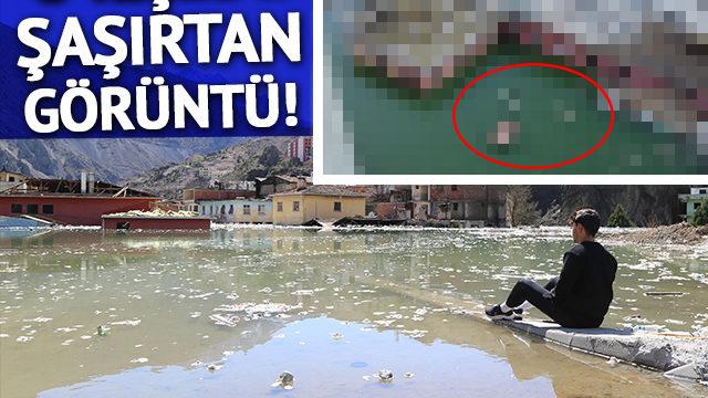 O ilçede ilginç görüntü... Koşup oynadıkları cadde ve sokaklarda bakın bu kez ne yapıyorlar! Şu tarafta evim vardı, şu an göremiyorum