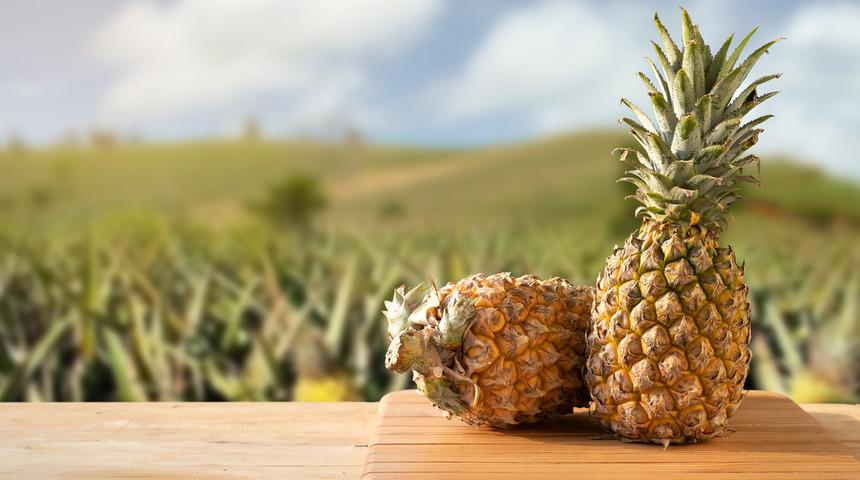 Ananas çimlendirme nasıl yapılır? Ananas kaç günde filizlenir, toprağa nasıl dikilir? 