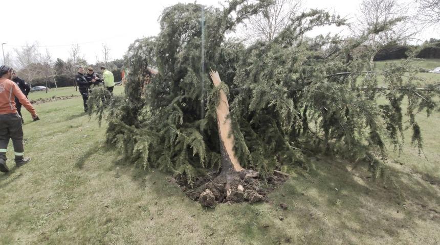 Sultangazi’de virajı alamayan hafif ticari araç ağacı devirip takla attı