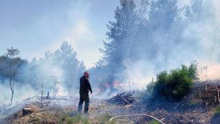Arazide temizlik ateşi yakınca... Ekipler sevk edildi! Alevler oraya sıçradı