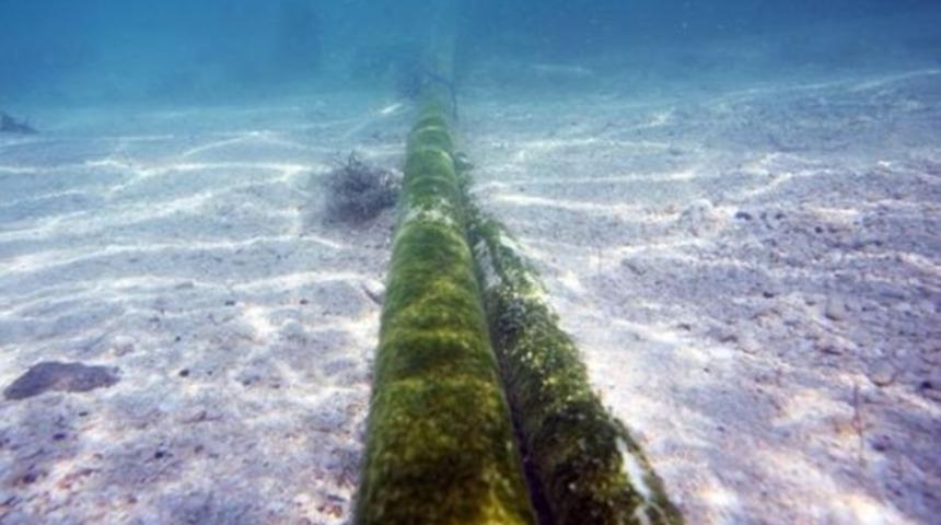 'Rusya'nın interneti kesme riski var'