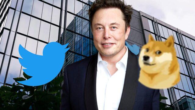 Twitter logosu değişti mi? Twitter logosu neden Dogecoin oldu, köpeğin anlamı ne? Elon Musk'tan flaş hamle: Kuş gitti köpek geldi