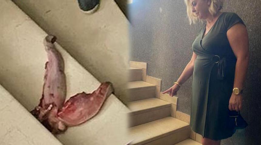 Profesörü 'dana dili' ile tehdit etmişti! Cezası belli oldu